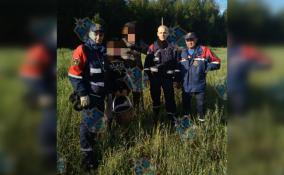В Кировском районе дедушка с внуком провели ночь в лесу, ожидая спасателей