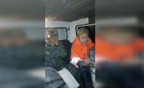 Спасатели Ленобласти вывели из леса двух жительниц Карелии