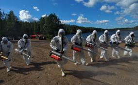 В Петровском победили африканскую чуму свиней: масштабные учения в ярких фото ЛенТВ24
