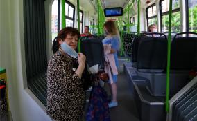 В Ленобласти автобусных перевозчиков обязуют объявлять остановки по громкой связи
