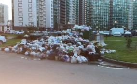 Мусорный коллапс: горы отходов появились в Мурино из-за сбоя в работе перевозчика