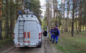 За август в лесах Всеволожского района 14 раз терялись люди