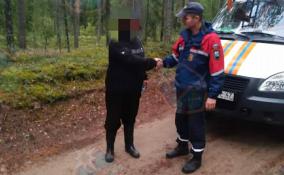 В понедельник спасатели вывели из лесов Ленобласти троих заблудившихся человек