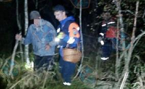 В среду спасатели Ленобласти вывели из лесов двух мужчин