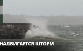 Порывы ветра в прибрежных районах Петербурга и Ленобласти 26 августа могут достигать 16 метров в секунду