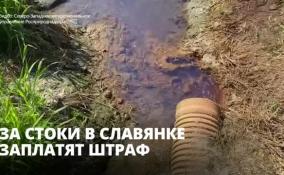 За загрязнение реки Славянка заплатят 285 тысяч рублей