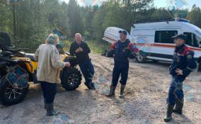 Спасатели вывели из леса около посёлка Севастьяново заблудившуюся женщину