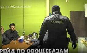 В Петербурге полицейские отправились на рейд по овощебазам, а наткнулись на склад контрафактного алкоголя