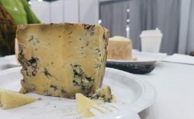 Лучший сыр России выберут на конкурсе The Baltic Cheese Awards 2021