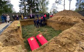 В деревне Вартемяги перезахоронили останки 185 солдат Великой Отечественной войны