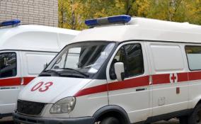 Избили палками и ударили заточкой: в Сланцах сожители напали на своих гостей