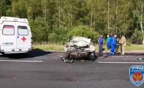 Два человека погибли после лобового столкновения легковушки с КамАЗом в Ломоносовском районе