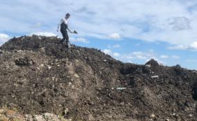 Заплатить штраф и возместить ущерб придется организатору свалки грунта и строительных отходов в деревне Аро