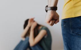 В Тосненском районе задержали неоднократно судимого и подозреваемого в изнасиловании мужчину