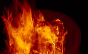 Загоревшуюся квартиру в Колпино тушили 15 человек