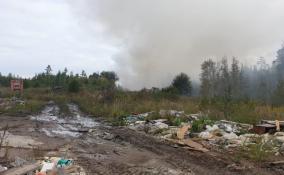 Утром на свалке в Мурино загорелся строительный мусор