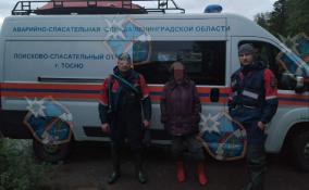 Спасатели вывели из леса Тосненского района заблудившуюся пенсионерку