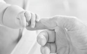В Ломоносовском районе младенец погиб во время домашних родов