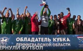 В Приозерском районе на обновлённом поле разыграли Кубок Ленинградской области по футболу