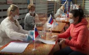 Избирательная комиссия Ленобласти подвела
первые итоги голосования