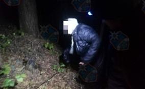 Спасатели вывели из леса Волховского района заблудившуюся пенсионерку