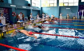 Ленинградские пловцы в первый день чемпионата и первенства СЗФО завоевали 18 медалей