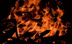 Ночью спасатели тушили пожары в Кингисеппском и Кировском районах