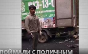 Росприроднадзор заинтересовался опубликованным в соцсети видео из Ломоносовского района