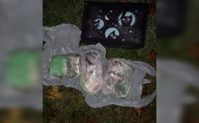Во Всеволожском районе у двух женщин-наркокурьеров нашли три килограмма гашиша