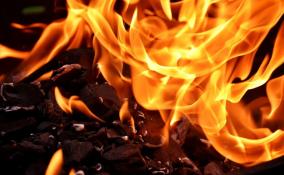 Крупный пожар на границе Ленобласти и Петербурга тушили огнеборцы двух регионов