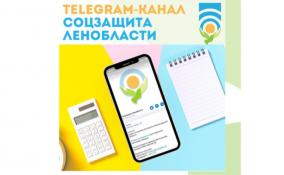 У комитета по социальной защите Ленобласти появился свой Telegram-канал