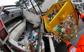 Ленобласть закупит более 900 контейнеров для раздельного сбора отходов