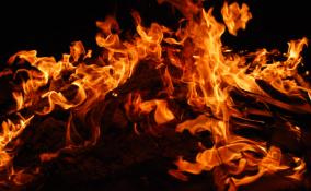 В пожаре во Всеволожском районе погибли два человека