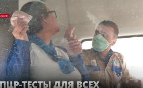 Ленобласть потратит на закупку ПЦР-тестов 16 миллионов рублей