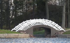 В парке Монрепо отреставрировали Китайские мостики