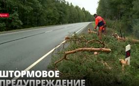 МЧС просит жителей Ленобласти соблюдать меры
предосторожности из-за сильного ветра