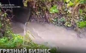 Росприроднадзор установил, кто виноват в загрязнении реки Волхов, и
возбудил административное дело