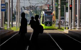 Как будет работать общественный транспорт в нерабочие дни в Ленинградской области