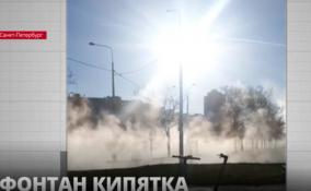 На проспекте маршала Жукова в Петербурге прорвало трубу - хлынул кипяток