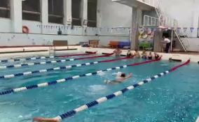 В Гатчине стартовал курс бесплатных тренировок по плаванию «МЫ ЗА! СПОРТ»