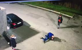 В Колпино мужчина избил 15-летнего школьника