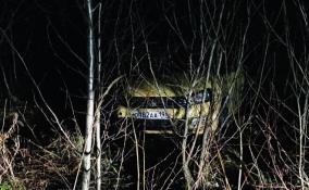 В лесу под Гатчиной заметили брошенную машину такси