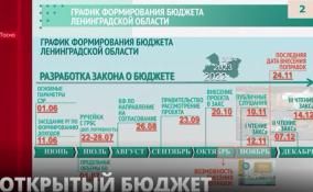 В Тосно в онлайн-формате прошли публичные слушания по проекту
регионального бюджета на ближайшие 3 года