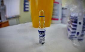 Почти 750 тысяч жителей Ленобласти сделали прививку от коронавируса