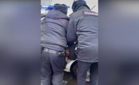 Петербургские полицейские скрутили 14-летнюю девочку за переход дороги в неположенном месте