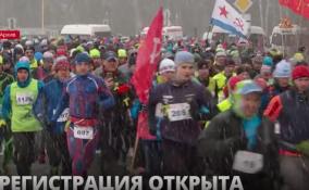 В Ленобласти началась регистрация на марафон «Дорога жизни»