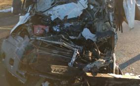 В Тосненском районе столкнулись три грузовика: два водителя погибли