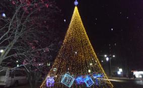 В городах Ленобласти начали появляться новогодние ёлки