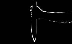 Во Всеволожске 25-летняя девушка напала на своего сожителя с ножом