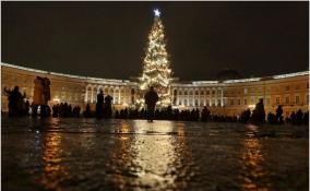 90-летняя ель из Приозерска украсит Дворцовую площадь в Петербурге